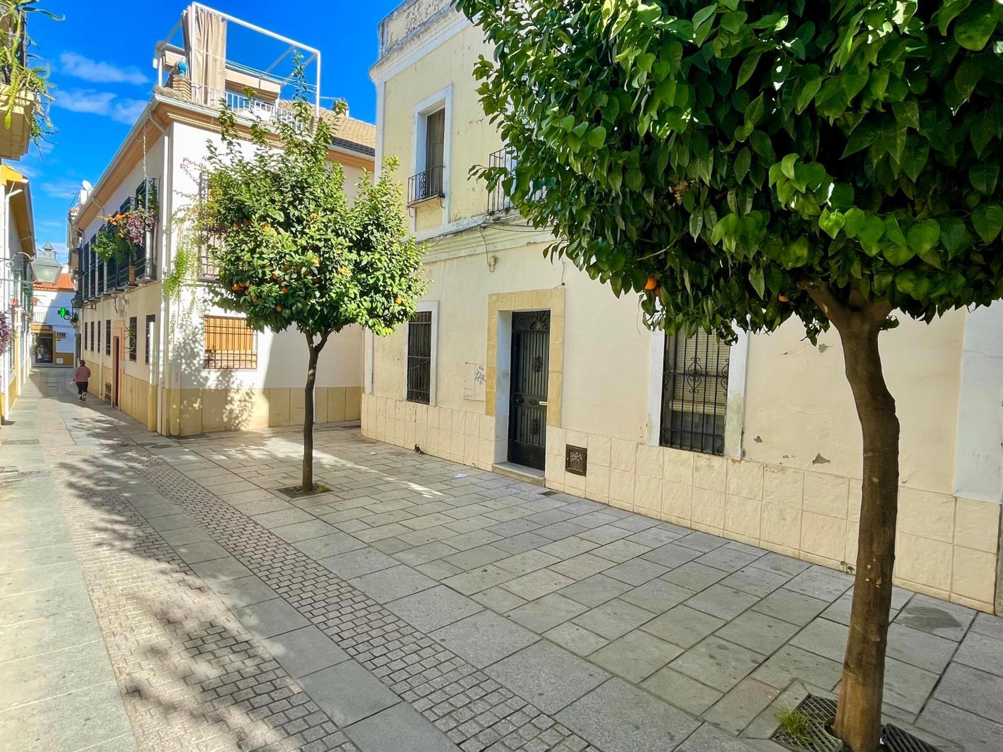 Cordoba Tinte Suites Dış mekan fotoğraf